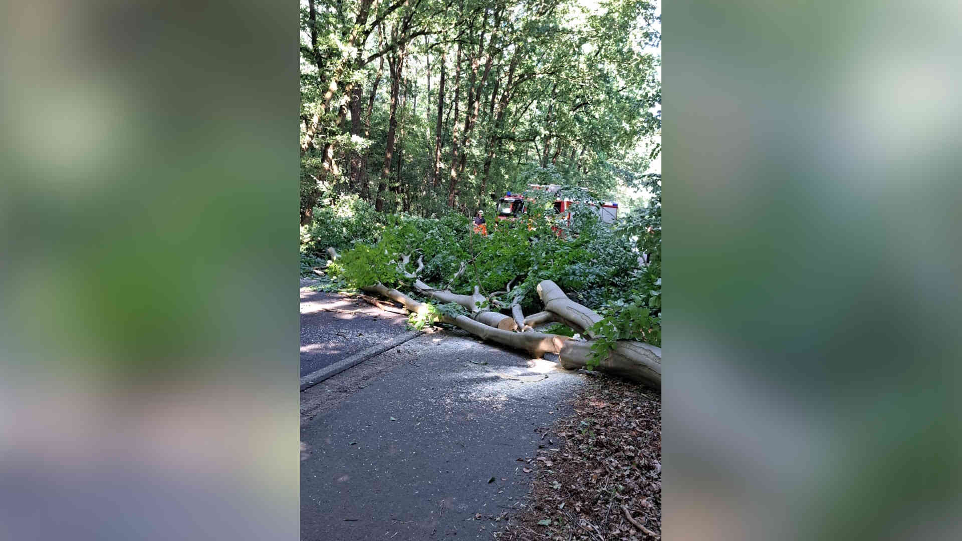 250702Mähdrescherbrand