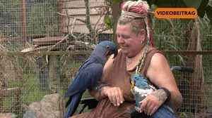 250724_Screen_Tao wird vermisst Flora wartet