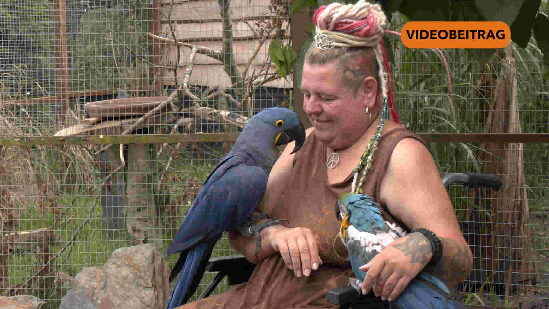 250724_Screen_Tao wird vermisst Flora wartet