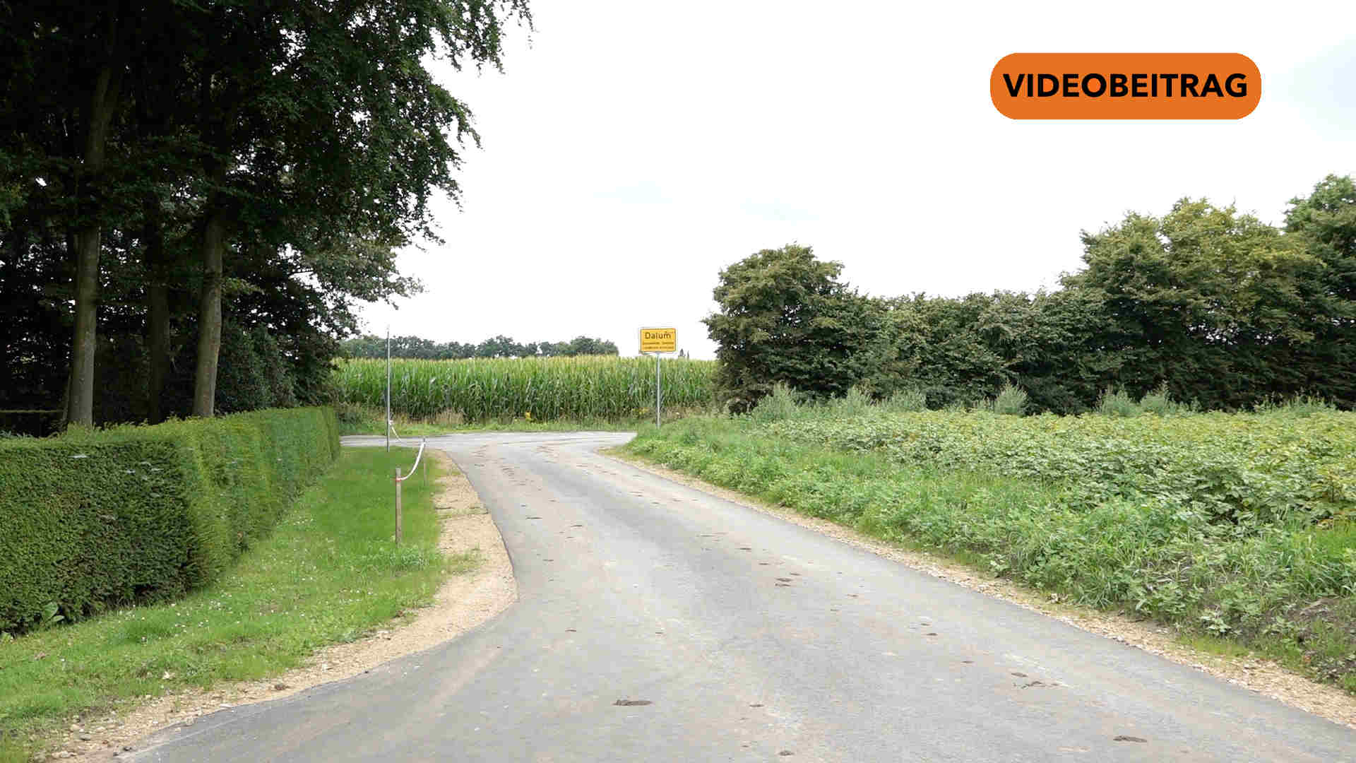 250725_Screen_Wegebau staerkt laendliche Struktur