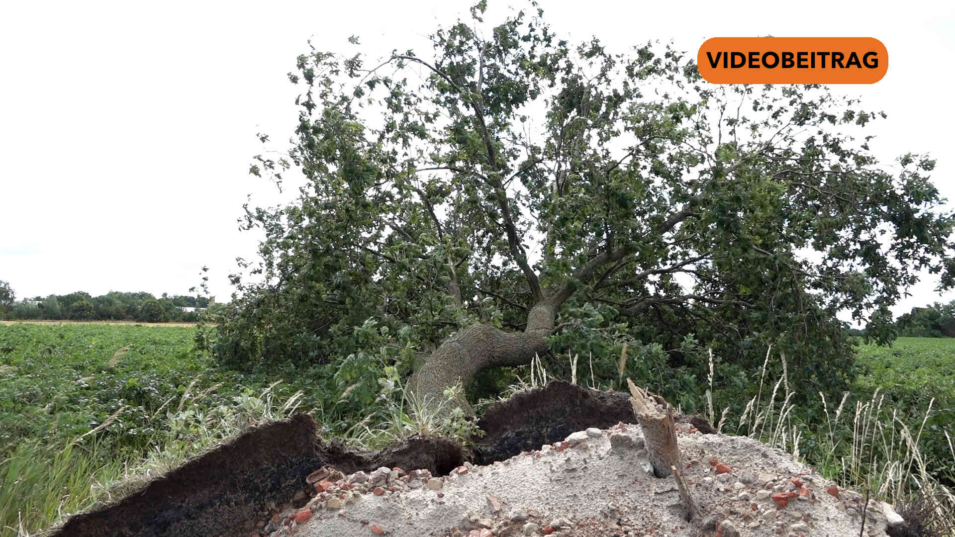 Screen_20250703_UnwetterEmsland