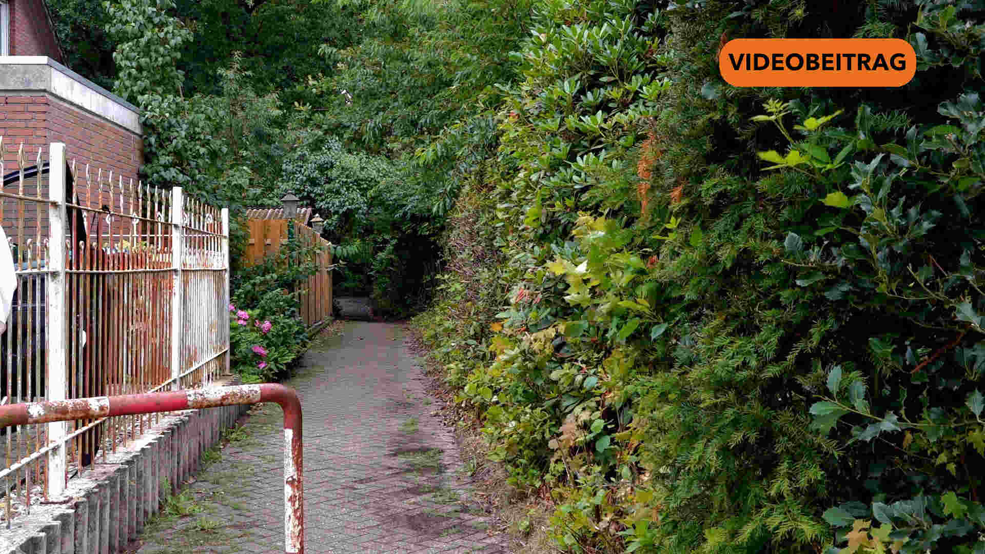 Screen_2025_Straßensanierung_MoosvennerWeg