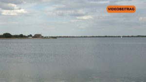 25 08 25 BLau Algen SCREEN