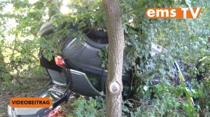 250815_Screen_Auto prallt gegen Baum