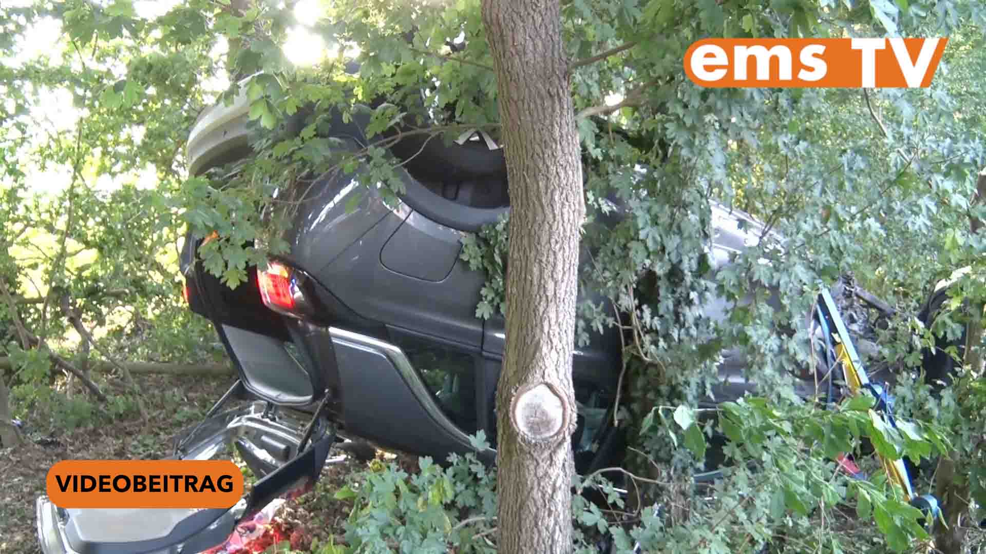 250815_Screen_Auto prallt gegen Baum