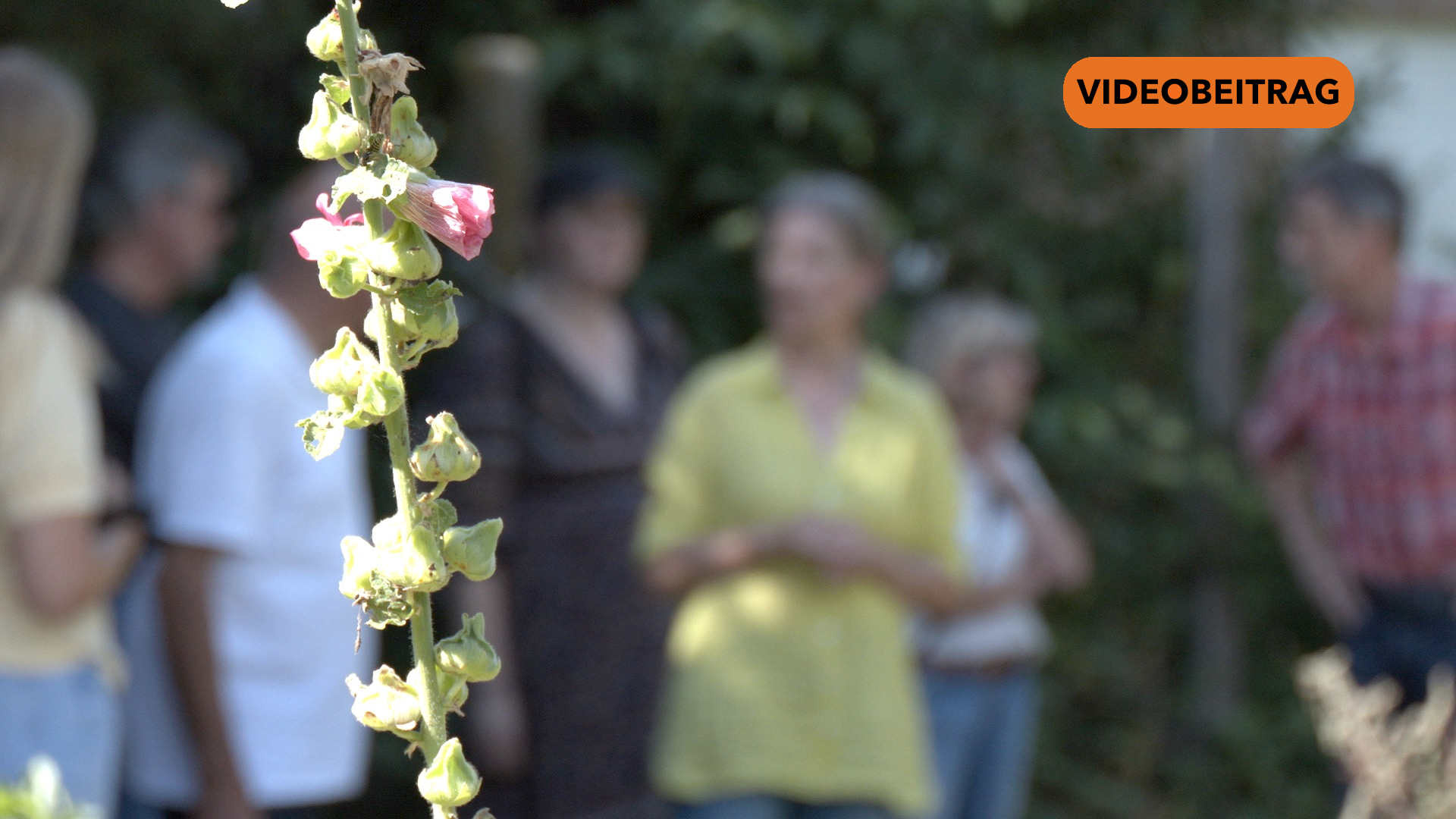 250820_Verleihen des Naturgartenwettbewerbs 2025