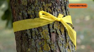 Screen_20250815_Ernteprojekt