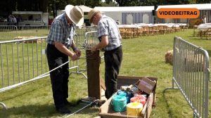 Screen_Neu_20250811_DorffestHandrup