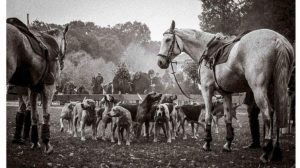 Screen Schloss Clemenswerth SCREEN