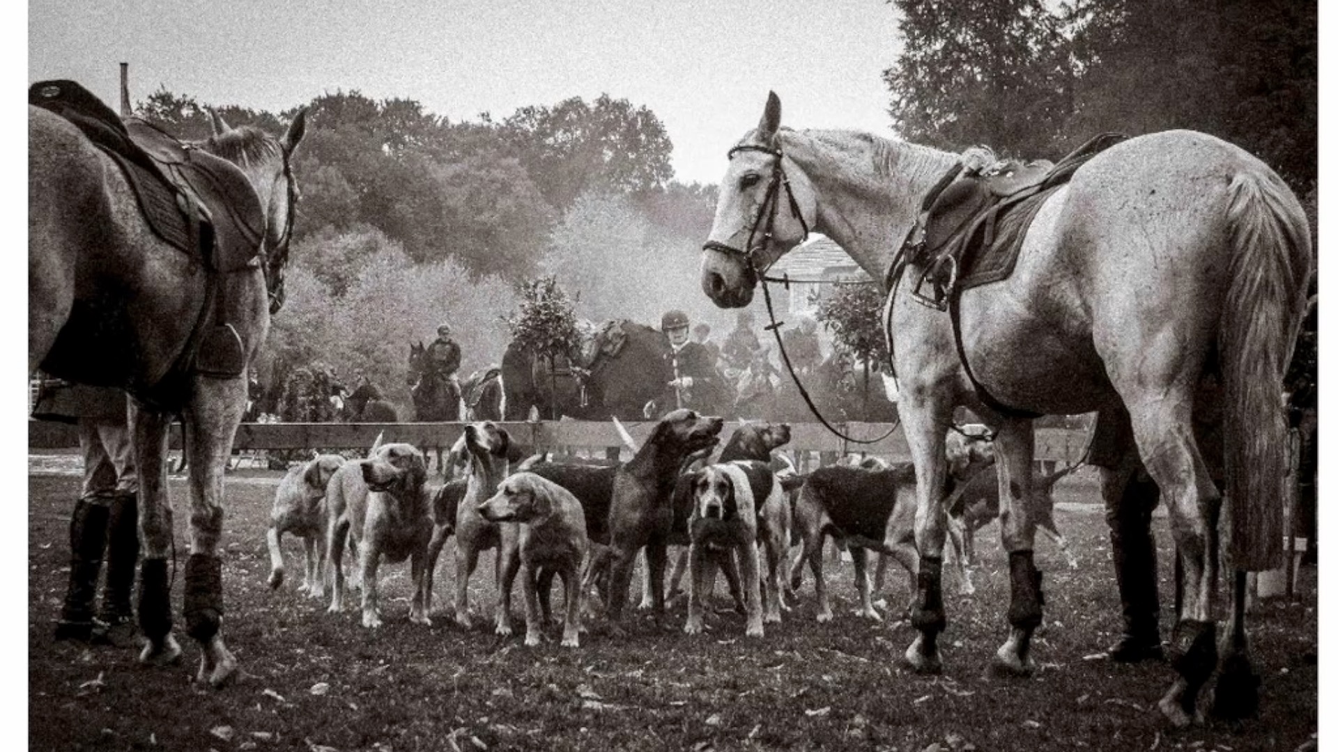 Screen Schloss Clemenswerth SCREEN