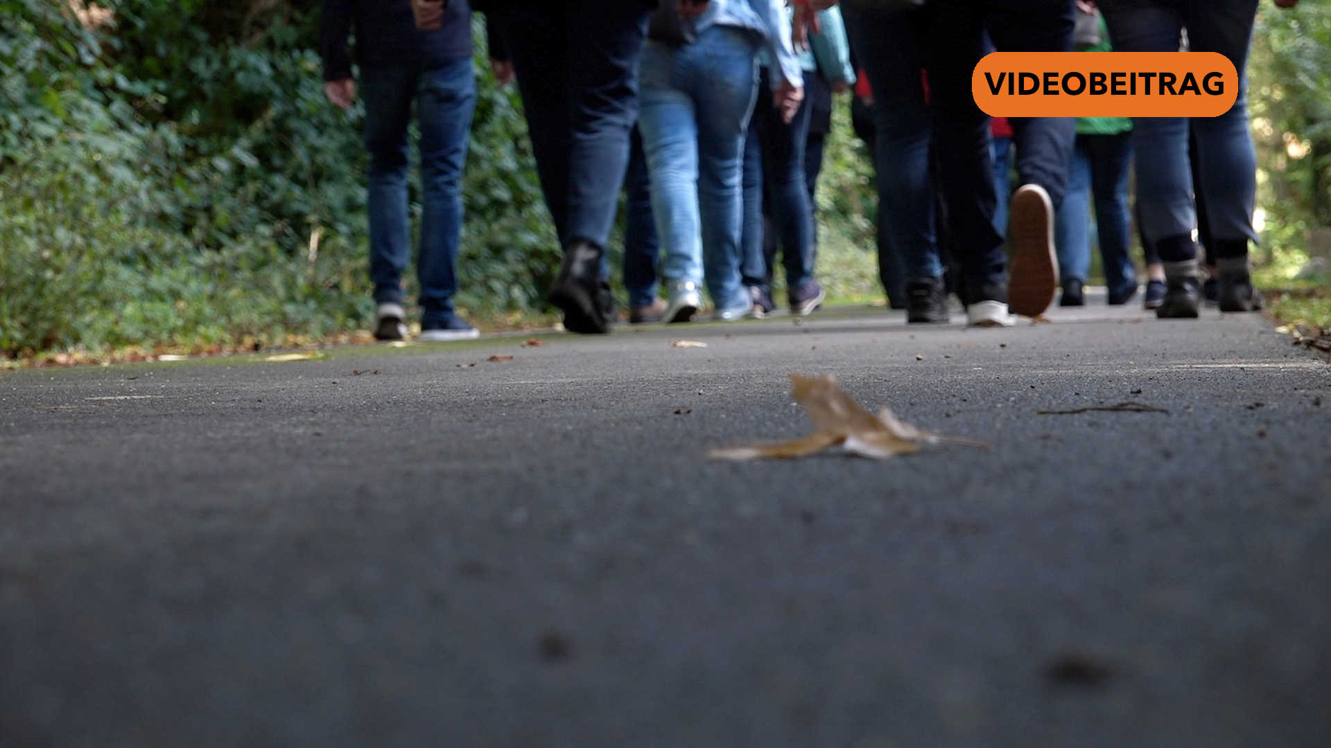 Screen_25 09 14 Wandertag des Südlichen Emslands