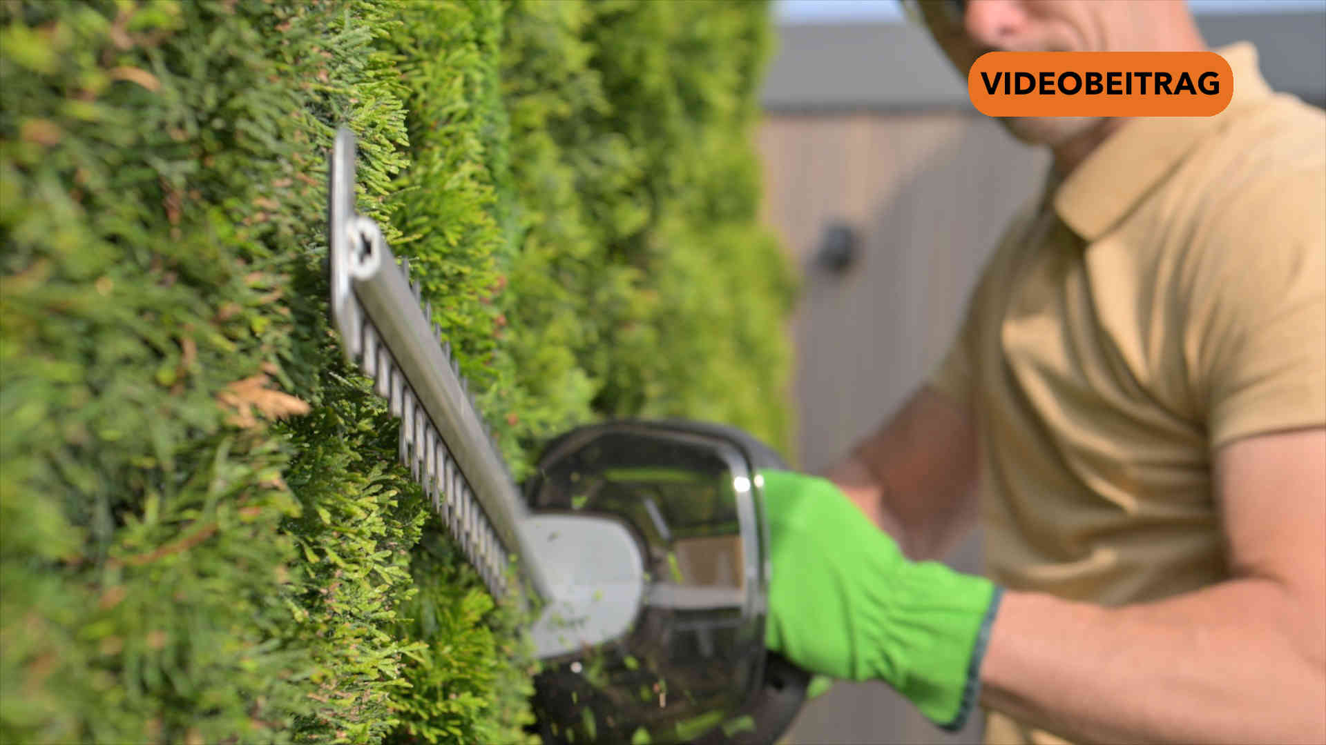 Screen_250930 Aenderungen Oktober