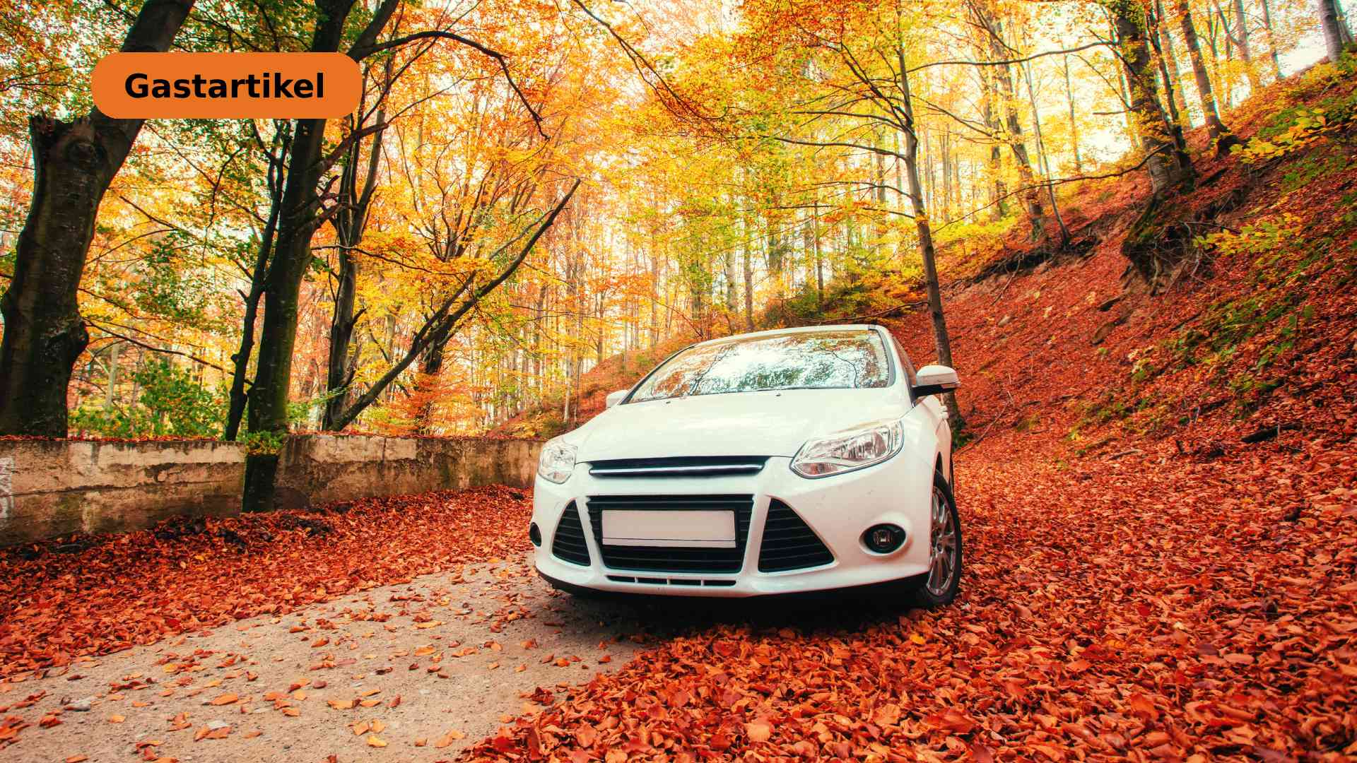 Screen_GB 250923 Herbsliche Vorbereitung Autos