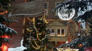 Screen_Weihnachtsbaeume fuer den Rathauswald gesucht