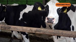 25 10 17 Expedi SCREEN