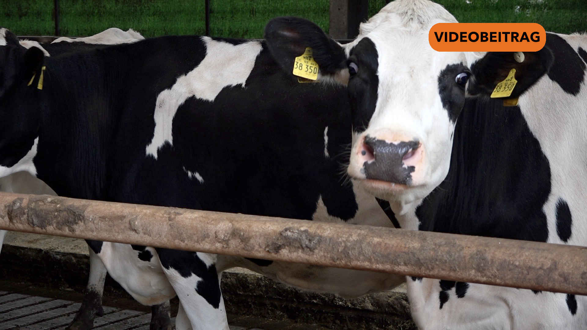 25 10 17 Expedi SCREEN