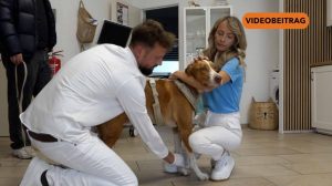 251007_Screen_Kleintierpraxis mit Herz