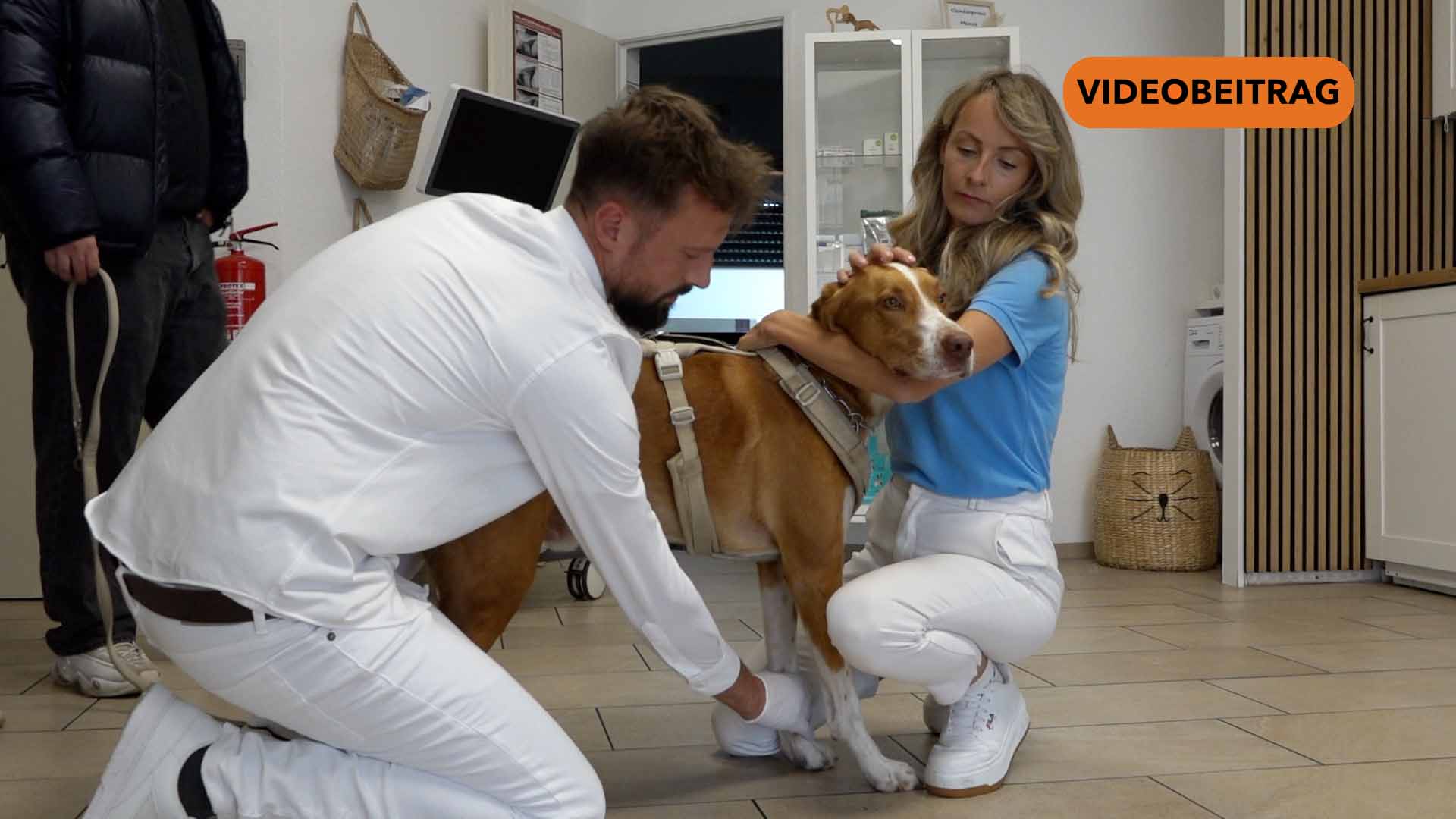 251007_Screen_Kleintierpraxis mit Herz