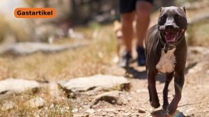 Screen_GB 251027 Emsland Trails