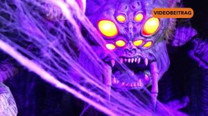 Vorbericht Halloween