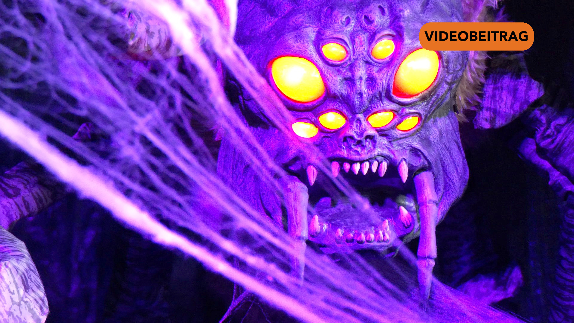 Vorbericht Halloween