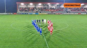 25 11 17 Biene SCREEN