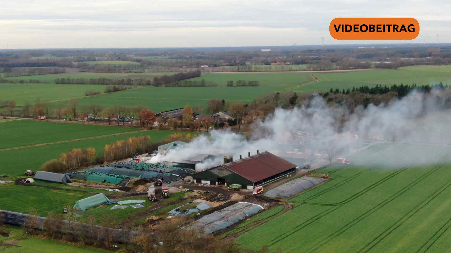 251201_Screen_Flammen zerstoeren Strohlagerhalle in Aselage