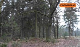 251203_SPD Vorschlag gescheitert