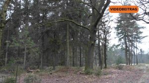 251203_SPD Vorschlag gescheitert