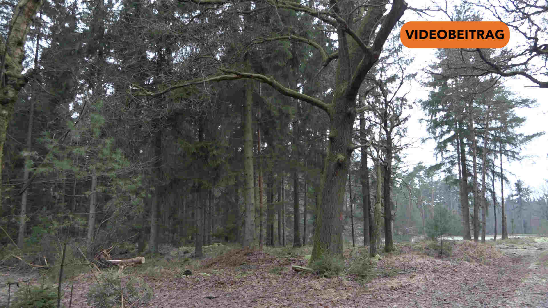 251203_SPD Vorschlag gescheitert