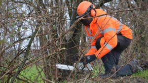251210_Gehoelzrueckschnitt in der Gemeinde Geeste
