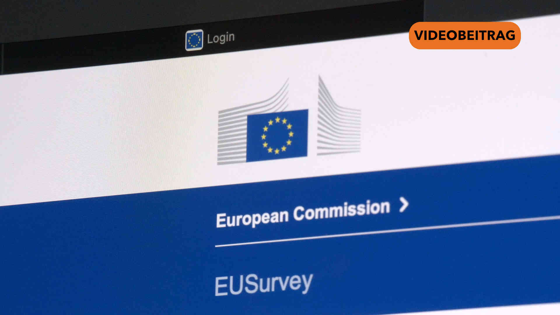 EU-Kommission sammelt Meinungen zum Tierschutz