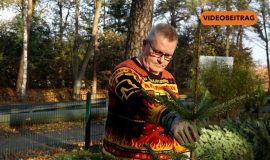 Screen_20251205_PflanzenGerd