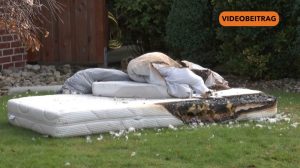 Screen_25 12 01 Matratzenbrand Lingen
