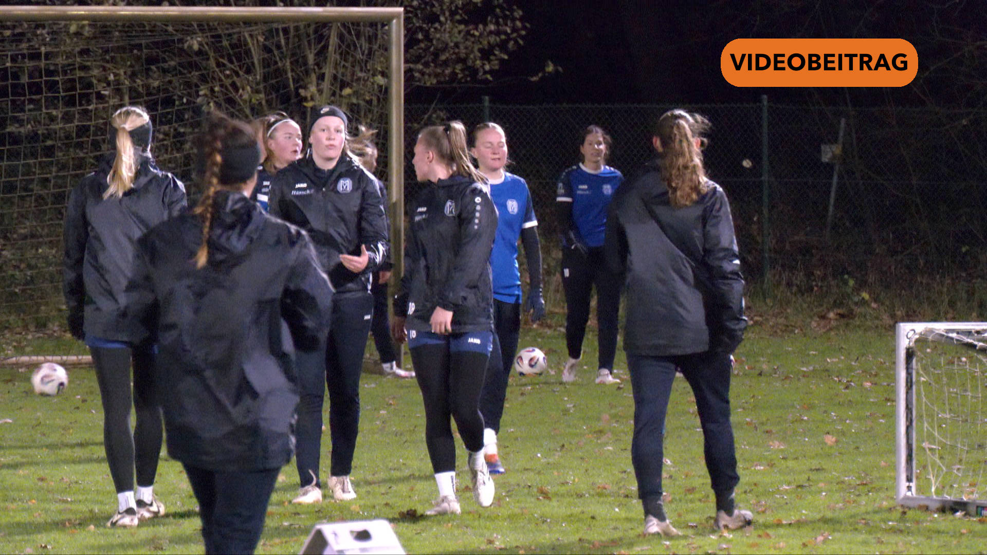 SV Meppen: Wie wird man profitabel?