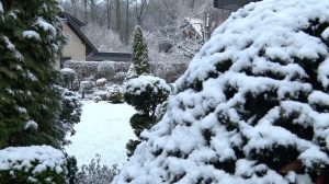 26 01 02 Schnee in Niedersachsen