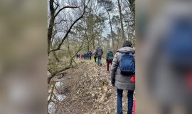 26 01 16 Heimat Hase SCREEN