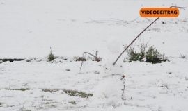 Screen_20260103_Schnee