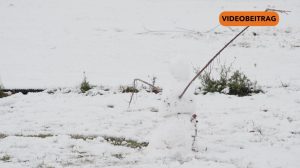 Screen_20260103_Schnee