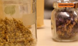 NICHT LÖSCHEN Screen_2024_NEU