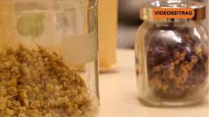 NICHT LÖSCHEN Screen_2024_NEU