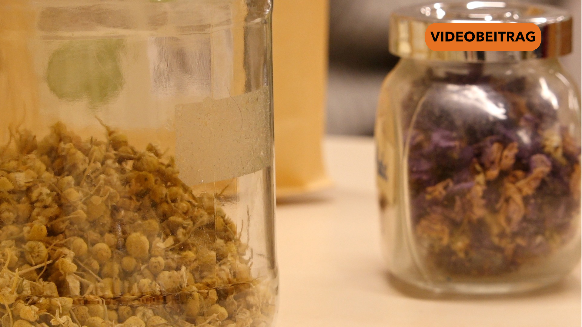 NICHT LÖSCHEN Screen_2024_NEU