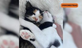 NICHT LÖSCHEN Screen_2024_NEU