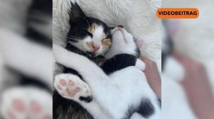 NICHT LÖSCHEN Screen_2024_NEU