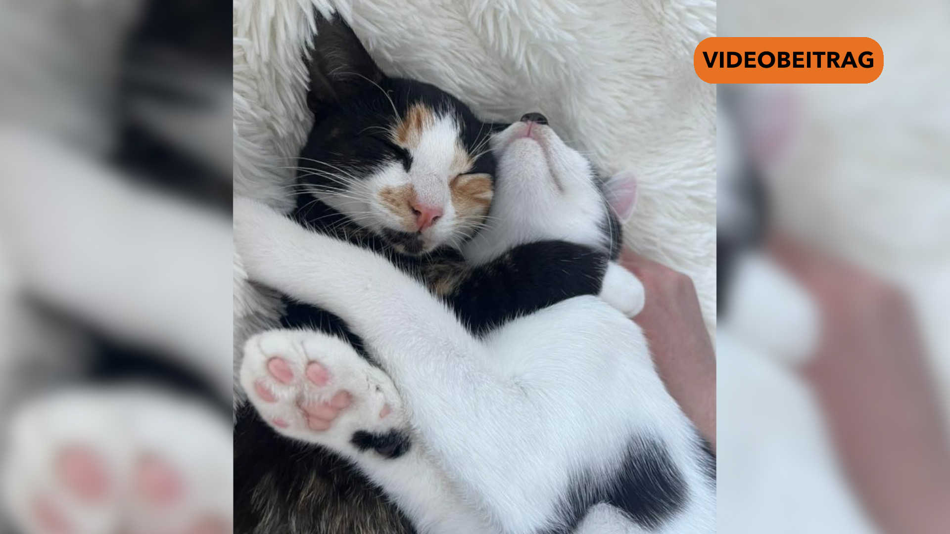 NICHT LÖSCHEN Screen_2024_NEU