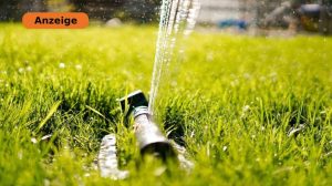 Screen_GB 260223 Rollrasen