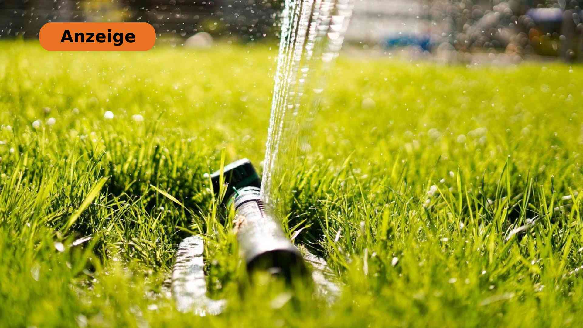 Screen_GB 260223 Rollrasen