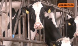 SCREENZeitumstellung