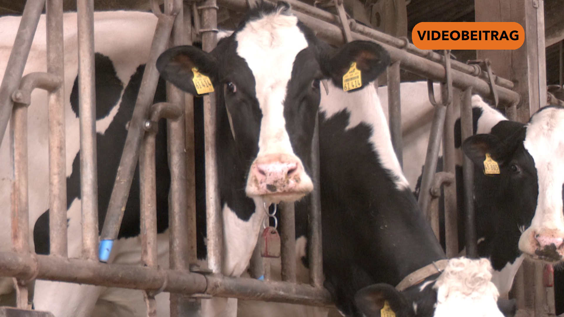 SCREENZeitumstellung