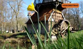 Screen_20260319_SanierungMühle